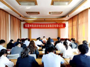 东升国际官网  召开党史进建教育专题领导