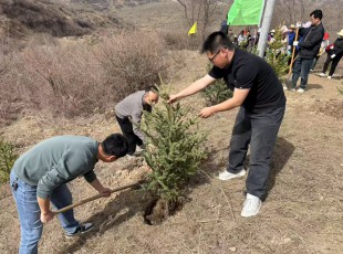 东升国际官网公司参与2025年春季使命植树活动